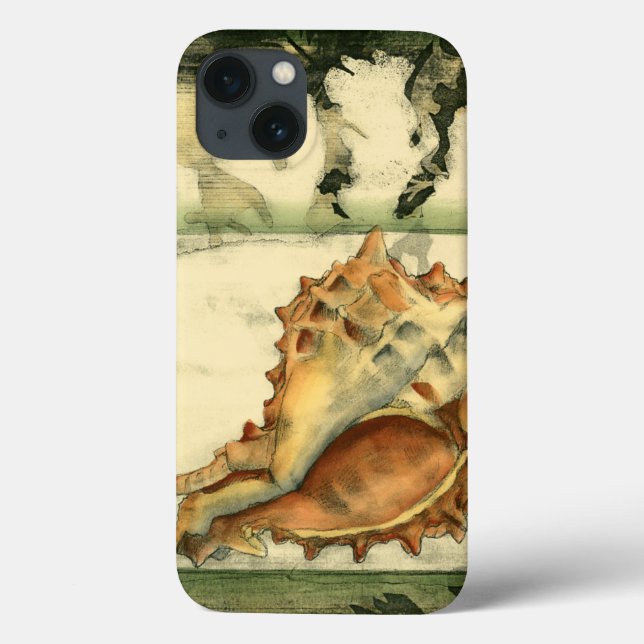 Shell de Conch Silhout (Verso)