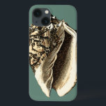 Shell de Conch Teal<br><div class="desc">Nesta linda concha branca e preta, você pode ver o sombreamento de uma concha natural muito nítida e clara. Você pode se imaginar na praia caçando conchas ou brincando na areia. Coloque esta arte náutica de concha de chás em seus produtos favoritos hoje!</div>