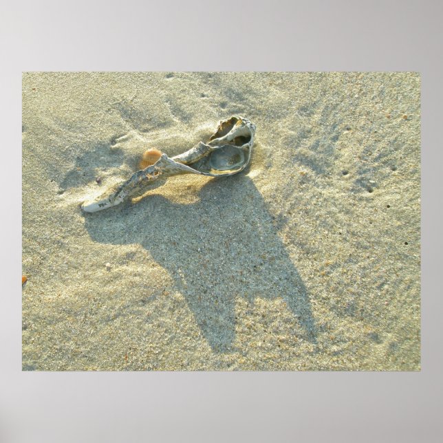 Shell de lavagem por onda de poster (Frente)