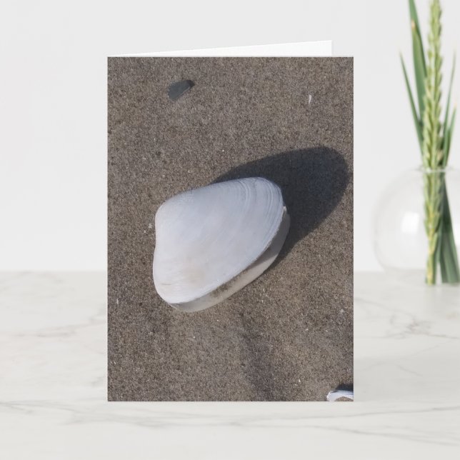 Shell no Cartão de Condolência de Areia (Frente)