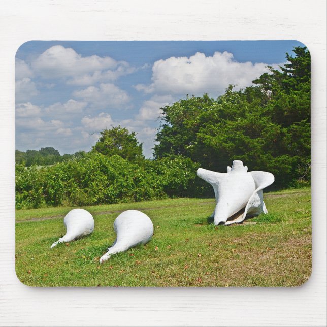 Shell Sculture Mousepad (Frente)