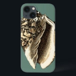 Shell Teal Conch<br><div class="desc">Nesta bela e clássica concha preta e branca, você pode ver o sombreamento de uma concha natural muito afiada e clara. Você pode se imaginar na praia caçando conchas ou brincando na areia. Consiga esta arte náutica de concha de coleira em teal nos seus produtos favoritos hoje!</div>