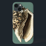 Shell Teal Conch<br><div class="desc">Nesta bela e clássica concha preta e branca,  você pode ver o sombreamento de uma concha natural muito afiada e clara.  Você pode se imaginar na praia caçando conchas ou brincando na areia. Consiga esta arte náutica de concha de coleira em teal nos seus produtos favoritos hoje!</div>