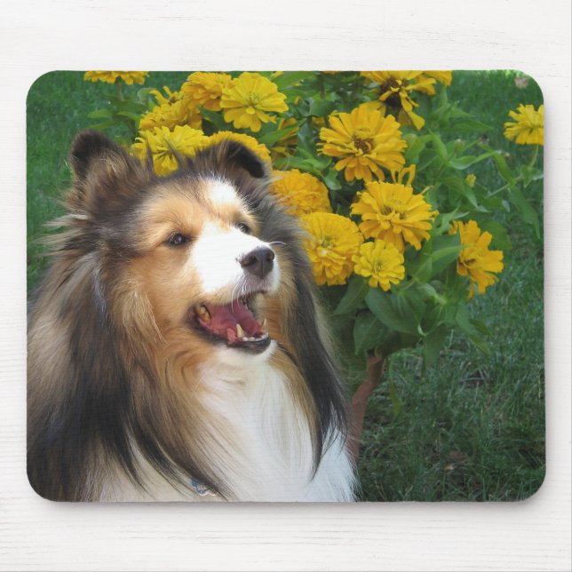 Sheltie Mousepad (Frente)