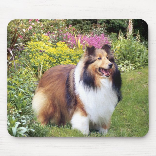 Sheltie Mousepad (Frente)