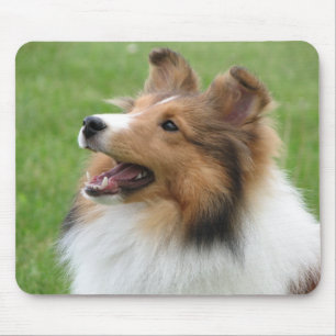 Sheltie no mousepad