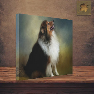 Sheltie Shetland Sheep Canvas