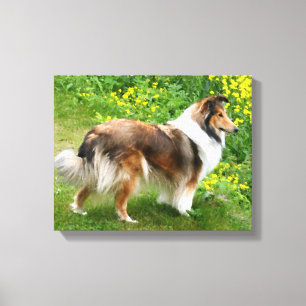 Sheltie Shetland Sheepdog Canvas de pintura