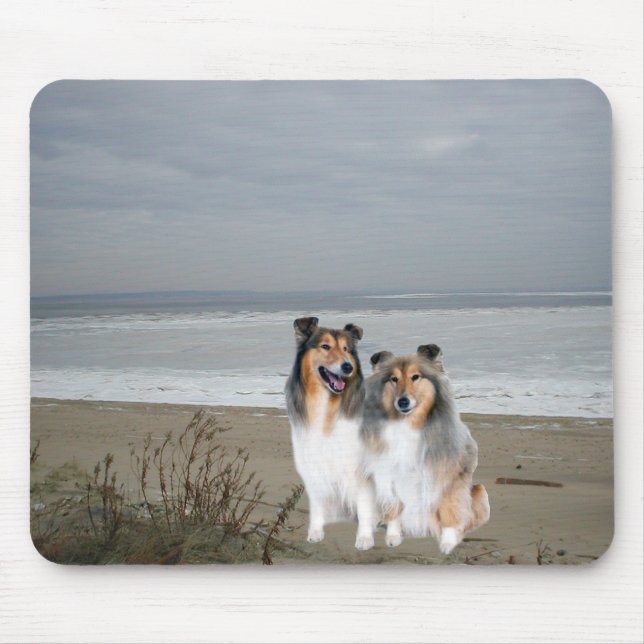 Shelties na praia Mousepad (Frente)