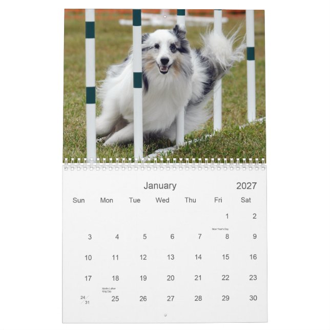 Shelties & tece o calendário da agilidade (Jan 2027)