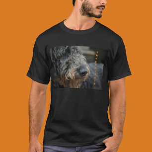 Shepadoodle Dog Fotografia Retrato T-Shirt