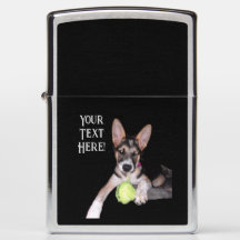 Shephard Blue Heeler Mix Puppy