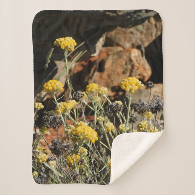 Sherpa Cobertor (Frente)