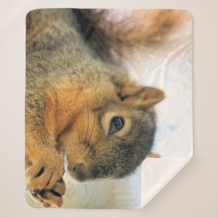 Sherpa Coma o cobertor do dedo