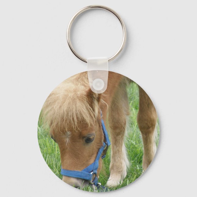 Shetland Pony Chaveiro (Frente)
