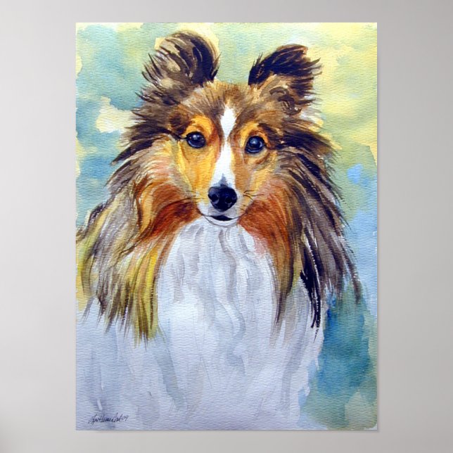 Shetland Sheepdog Wall Impressão (Frente)
