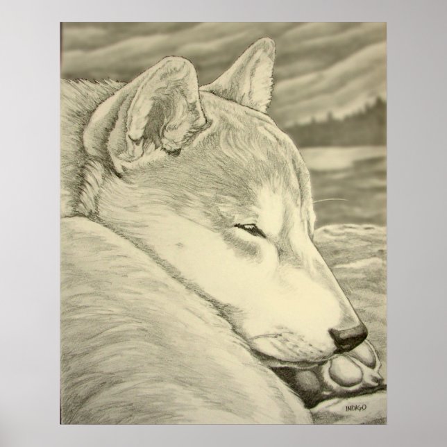 Shiba Inu Art Poster Dog Art Poster Shiba Inu Gift (Frente)