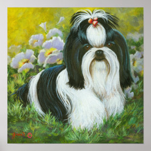 Shih Tzu Art Impressão na Canvas