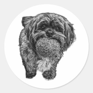Shih Tzu & Bola Adesivo de Arte de Cachorro Dive