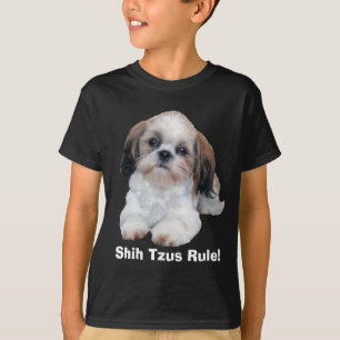 Shih Tzu caçoa o t-shirt