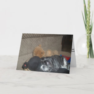 Shih Tzu Cartão de condolências