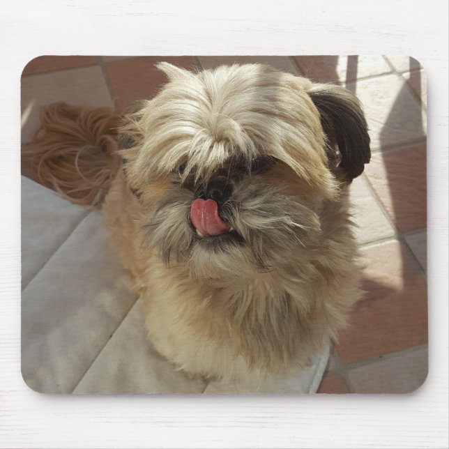 Shih Tzu dog mousepad (Frente)