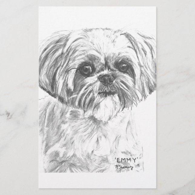 Shih Tzu Drawing (Frente)
