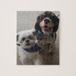Shih Tzu e quebra-cabeça do cão de cocker spaniel