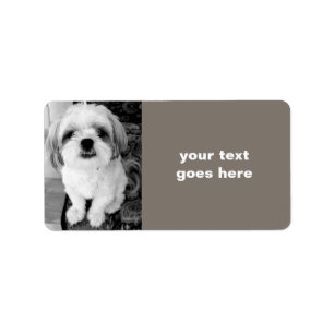Shih Tzu - Etiquetas de Endereço Personalizadas