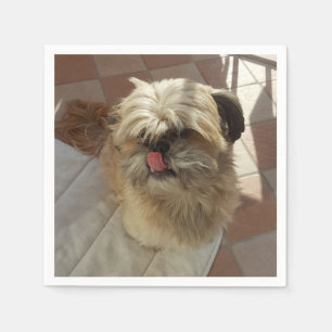 Shih Tzu - guardanapos de papel