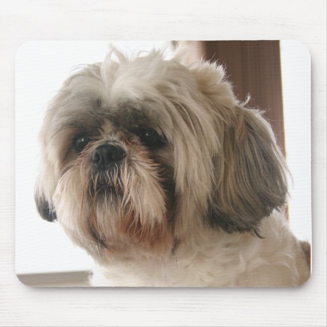 Shih Tzu Mousepad (Frente)