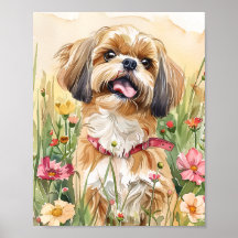 Shih Tzu Retrato Arte - Impressão de Muro de Cacho