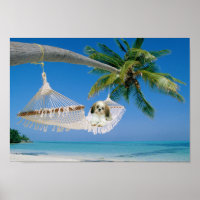 Shih Tzu Saindo Poster