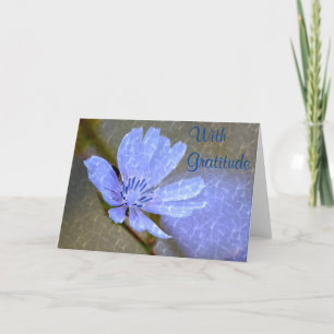 Shimmering Cornflower Cartões de agradecimentos