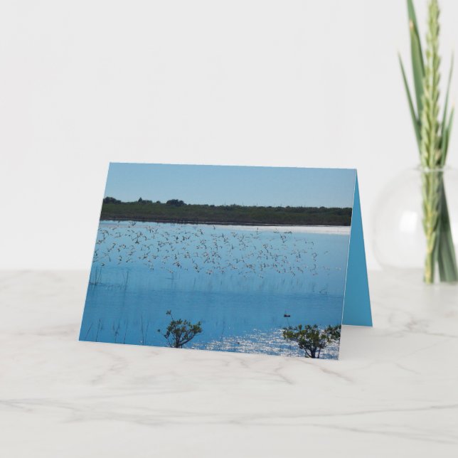 Shorebirds no cartão da asa (Frente)