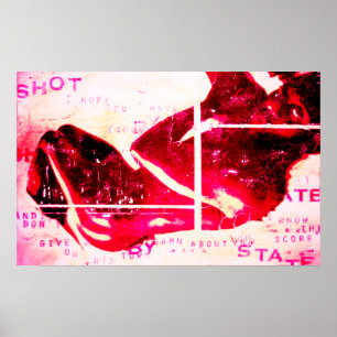 shot by state poster