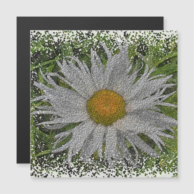 Show Me A Daisy #1 Magnetic Card (Frente/Verso)