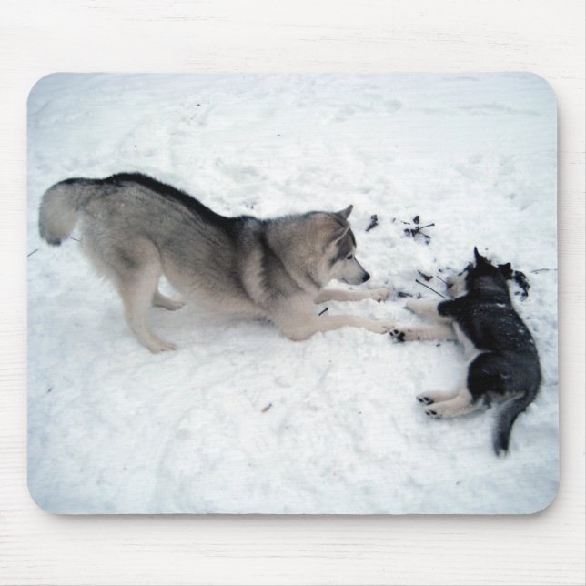 Siberian Huskies - Mousepad (Frente)