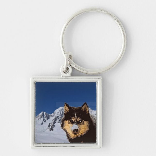 Siberian Husky Chaveiro (Frente)