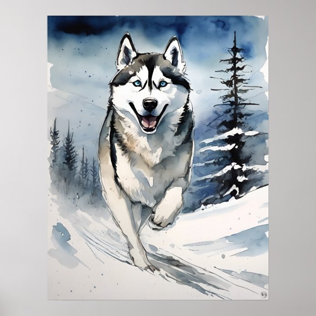 Siberian Husky - Impressão de Arte Canina (Frente)