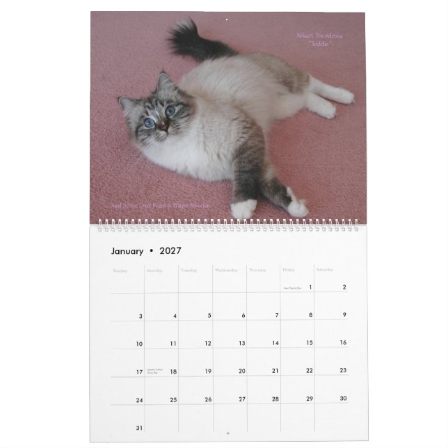 Siberianos Gatos Kittens 2012 - 2013 Calendário (Jan 2027)