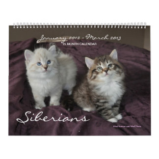 Siberians gatos calendário dos janeiro de 2014 até