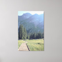 Siga a Canvas de caminho