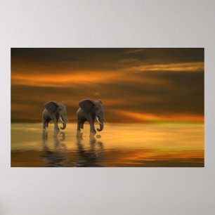 Siga-me o poster dois