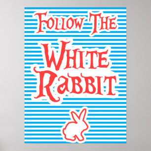 Siga O Coelho Branco, poster de tipografia,