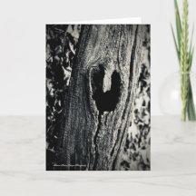 Siga o seu Cartão de Saudação Cardíaca com Citação