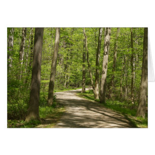 Siga seu cartão ideal