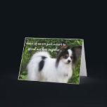 Significou ser cartão do papillon do feliz<br><div class="desc">Deseje-lhes o feliz aniversario com uma foto de um companheiro peludo do tempo da vida. Giorgio é um papillon tricolored dos canis do beijo de Hershey que ame enviar desejos,  abraços,  e beijos do aniversário.</div>
