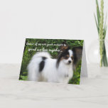 Significou ser cartão do papillon do feliz<br><div class="desc">Deseje-lhes o feliz aniversario com uma foto de um companheiro peludo do tempo da vida. Giorgio é um papillon tricolored dos canis do beijo de Hershey que ame enviar desejos,  abraços,  e beijos do aniversário.</div>