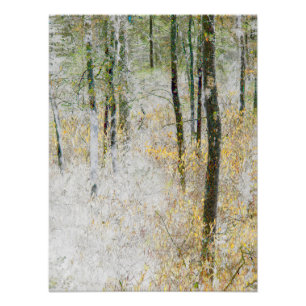"Silêncio" - Foto transformada de árvores em uma